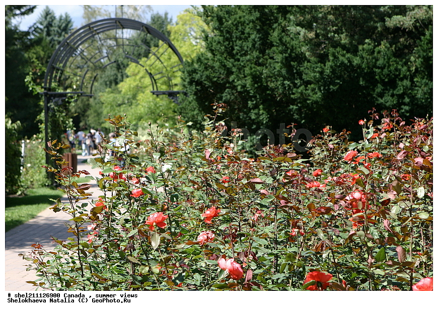 ������, ������������ ���, ��������, �����,������������ ��� ��������, ��������, ������, ������������ ���, ��������, �����,��������,������������ ��� ��������, ��������, ������