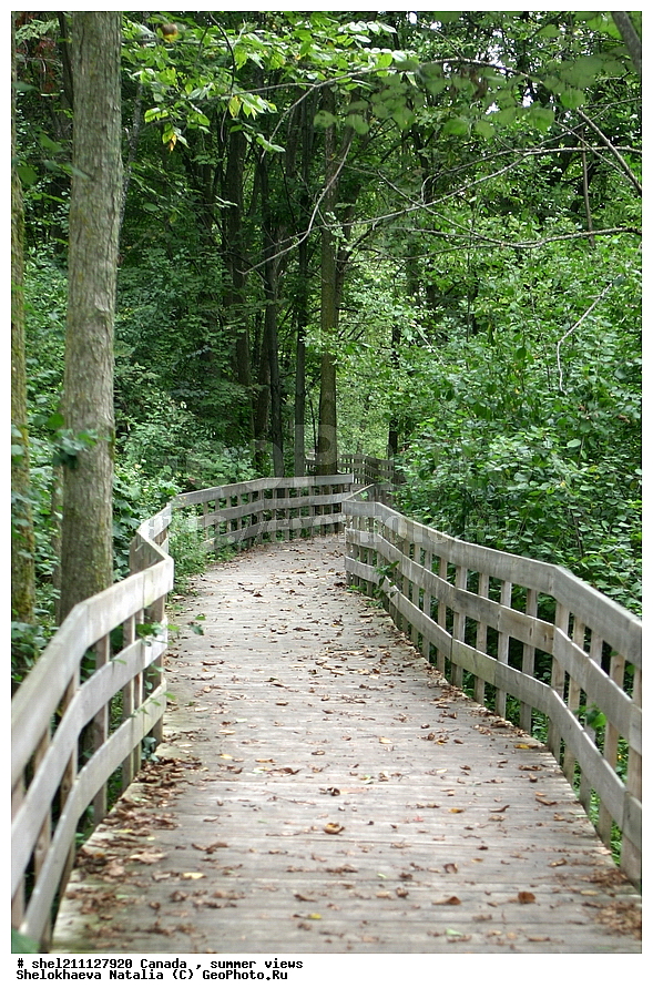 ������, �������, ���������, ���� ����������, ��������� ����, ������, ����� � ������, ������, ��������,������  