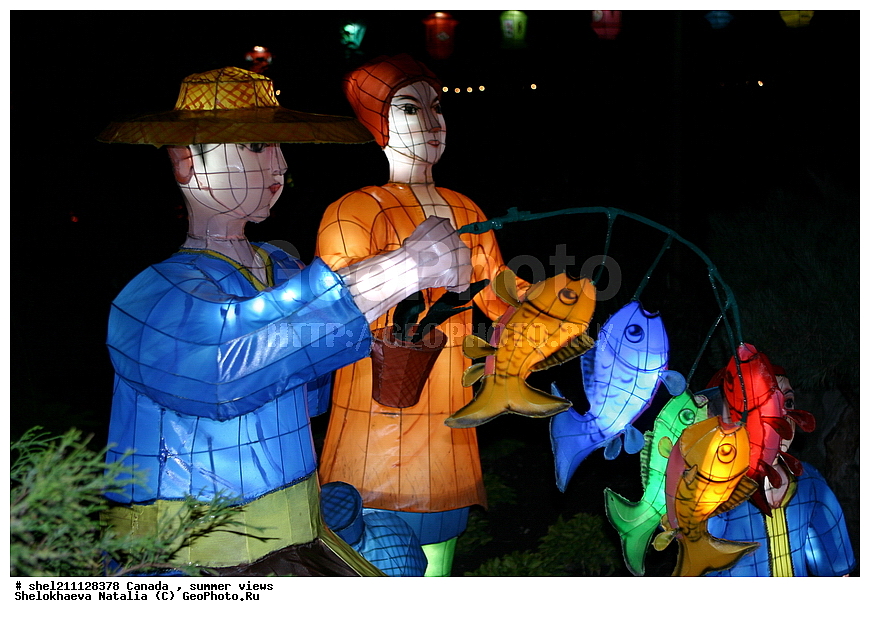 ������, �������� ���������, ��������, ���������, �����,������������ ���, ��������, ������