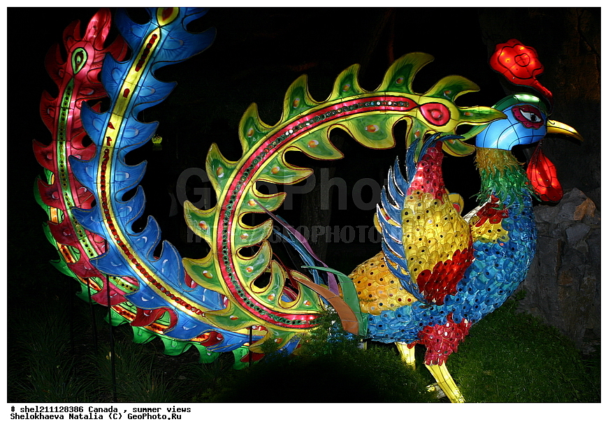 ������, �������� ���������, ��������, ���������, �����,������������ ���, ��������, ������