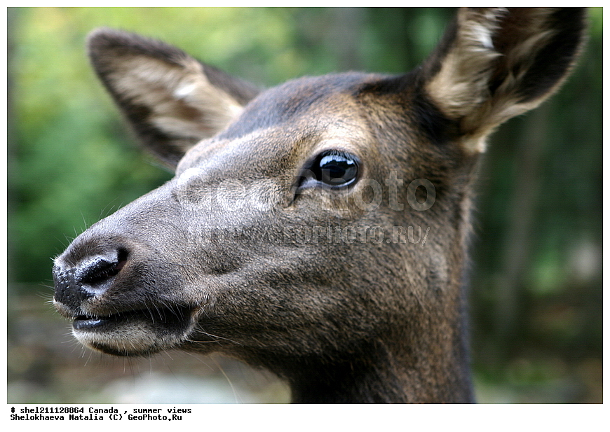 ������, �����, ���� �����,��������� ����, �������� ������,������ ����, �����, ����� � ������ 