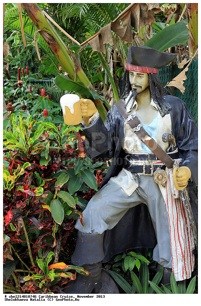 ��������� ���������, ��������� ����, ������,  �����, 2013, ������