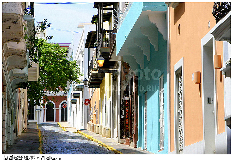 ��� ����� 