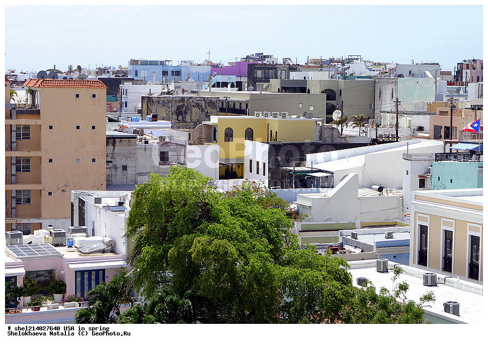 ��� ����� 