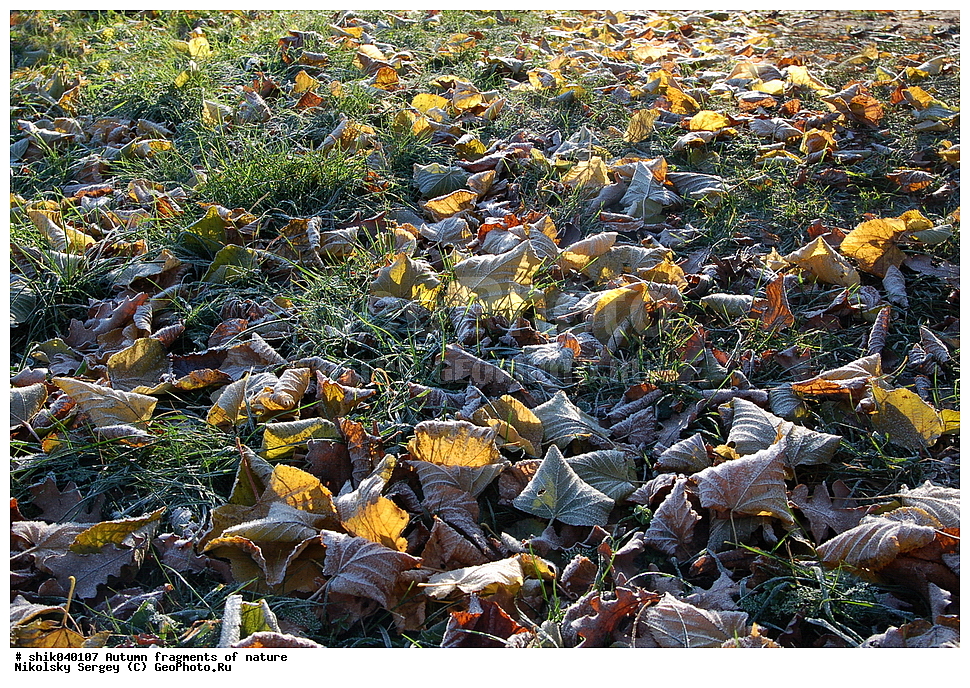 �����, ��������, �������, ������, ������,�����, ����