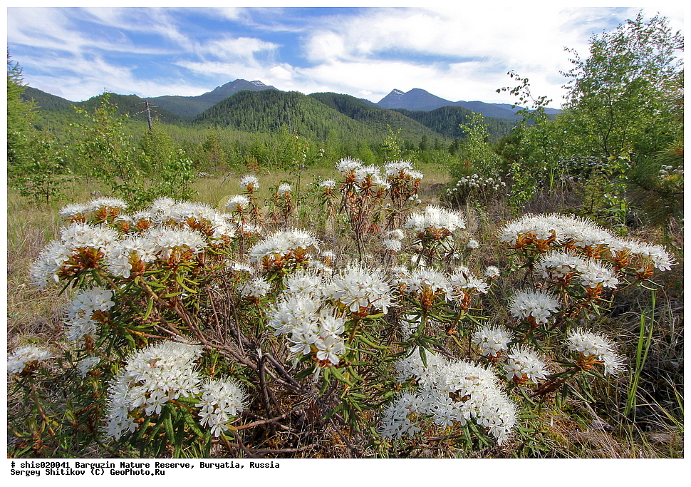 ������������ ��������������� ��������� ���������� ����������, �������, ������, ����������, ����������, �������� ������, �����, ����� ������������ �������, ��������� ��������, �������� ���������� ���������, ����� �����, ������