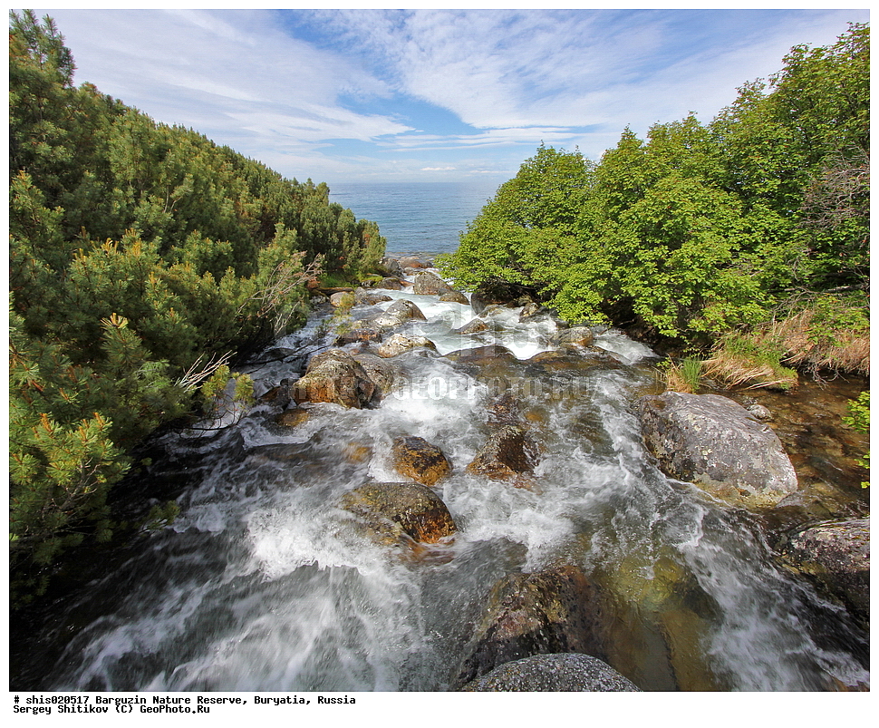 ������������ ��������������� ��������� ���������� ����������, �������, ������, ����������, ����������, ����� ������, �������� ������, ����, ������ ����, ����� ����, ���� ������� � ������, ���� ��������, ��������� ����� �������