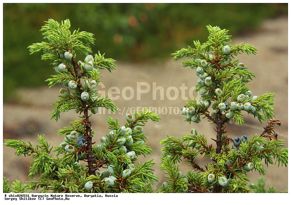 ������������ ��������������� ��������� ���������� ����������, ������������ ����������, �������, ������, ����������, ����������, �����, ����� ������������ �������, ������������, ������������ ������������, ���������� ������������� 