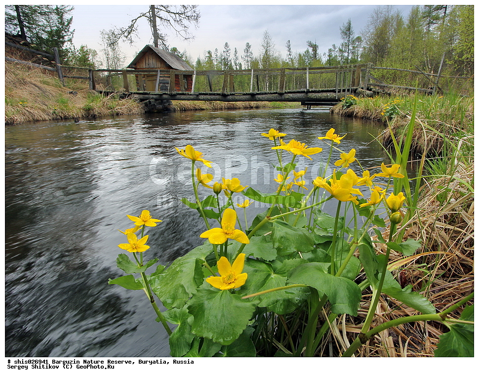 ������������ ��������������� ��������� ���������� ����������, �������, ������, ����������, ����������, ����, ���� �����, �����, ����� �����, ��������� ��������, ������, �������� ������, ����� ������������ �������, ������, ����� �� ������ ����