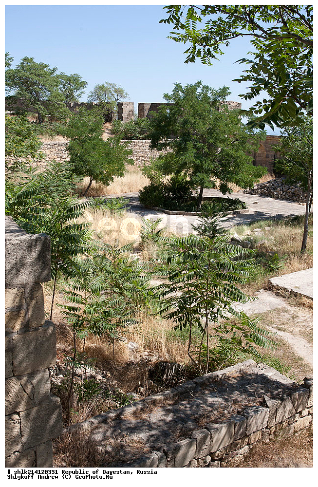 ���������� ��������, ������, ������, �������, �����-����,  �����