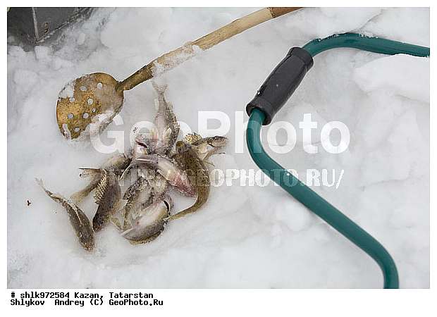 �����, ������, ���������, ������, ���������, ��������� �������, �����, �������, ��������, ������ �����, �����