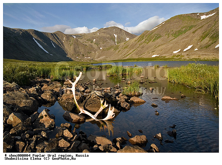 �������� ����, ����������� ����