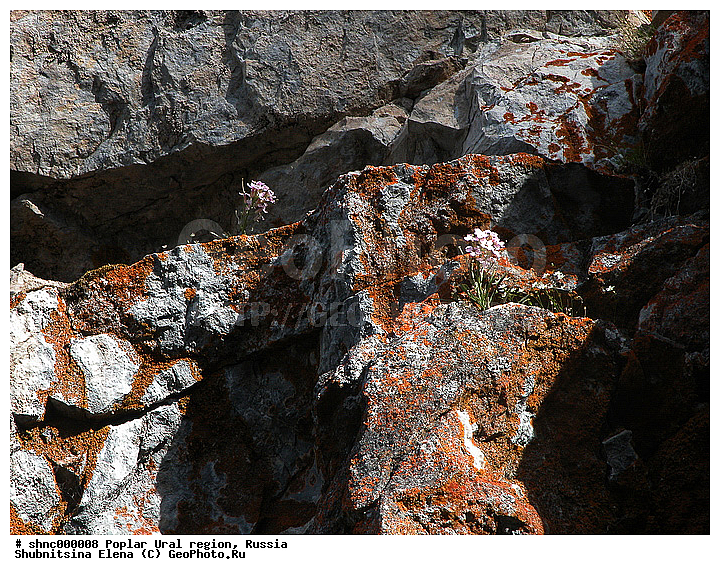 ����������� ����