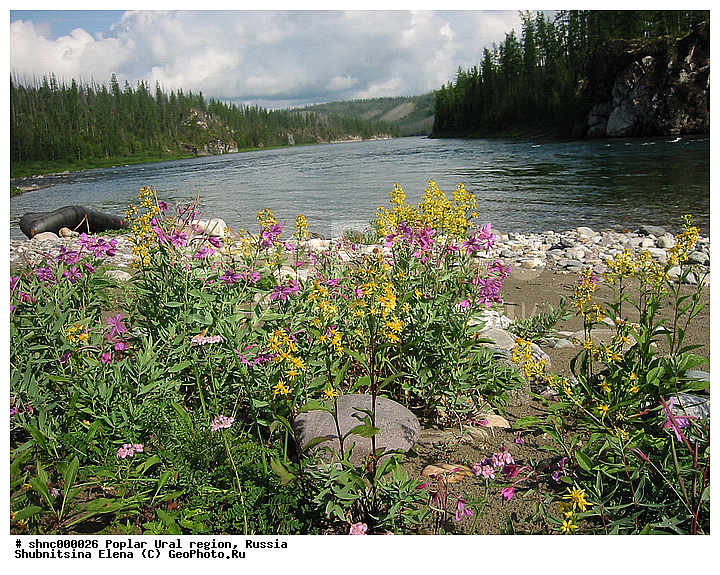 ����������� ����, ��������