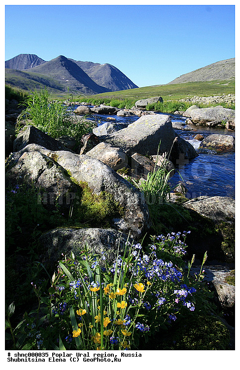 ����������� ����, ����, ������� ����