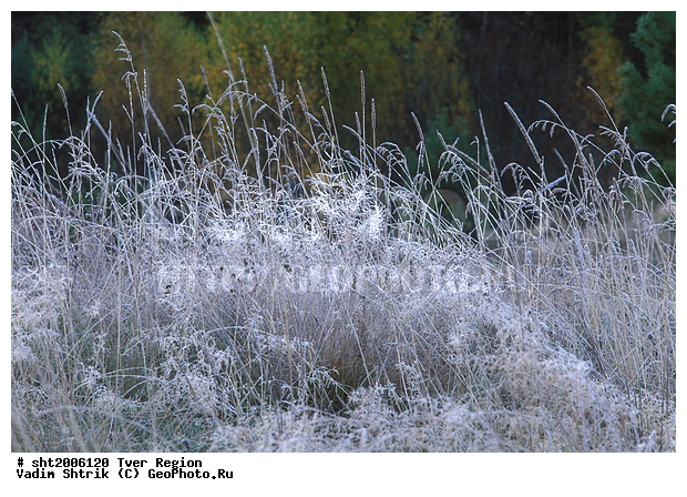 ����, �����, ����