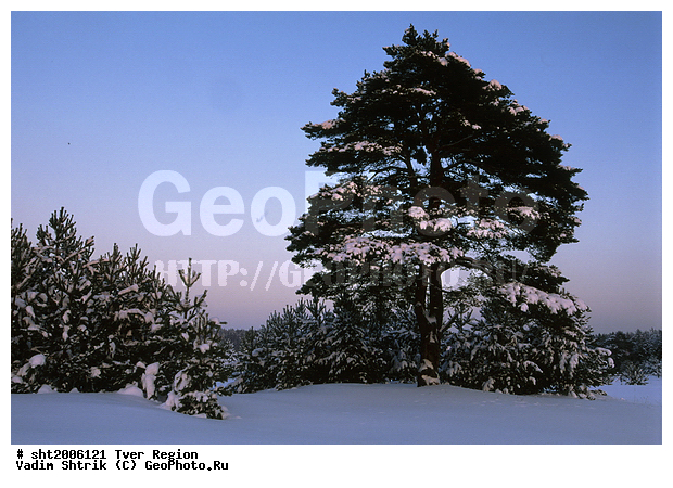 ����, ������, �����