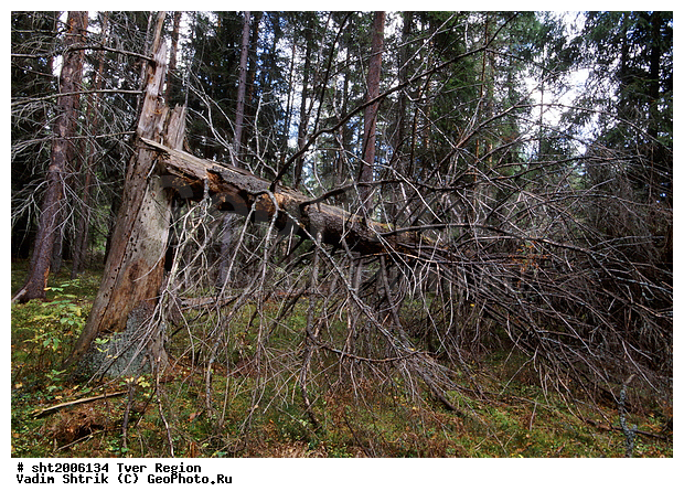 ������, ���, ���������� ������, �����, ������� ������