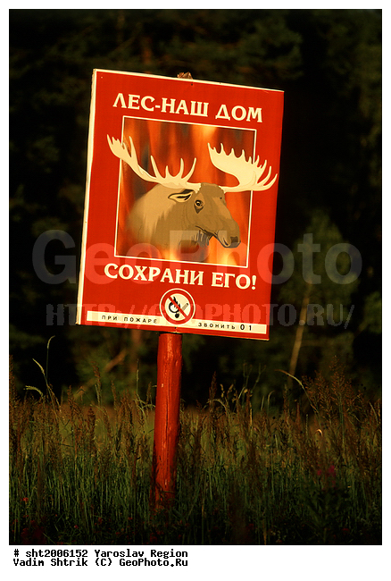 ���, ��������������, ��������