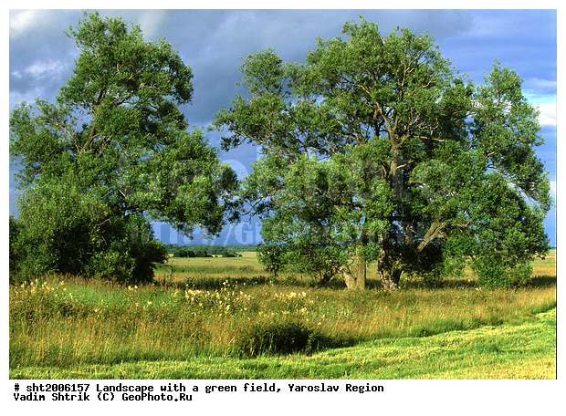 ������, �������, ����, ���, ������, ������, ����, �����