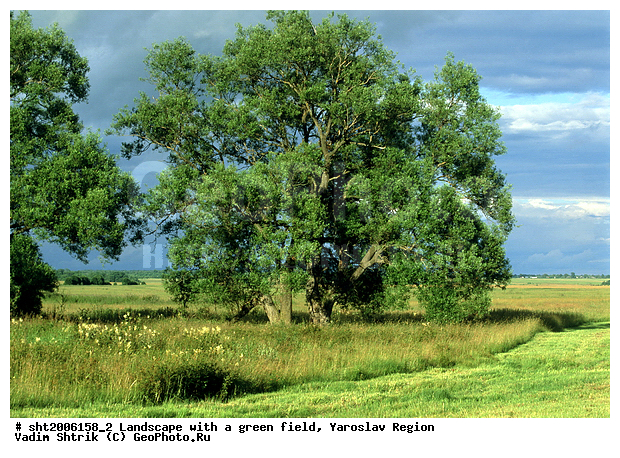 ������, �������, ����, ���, ������, ������, ����, �����