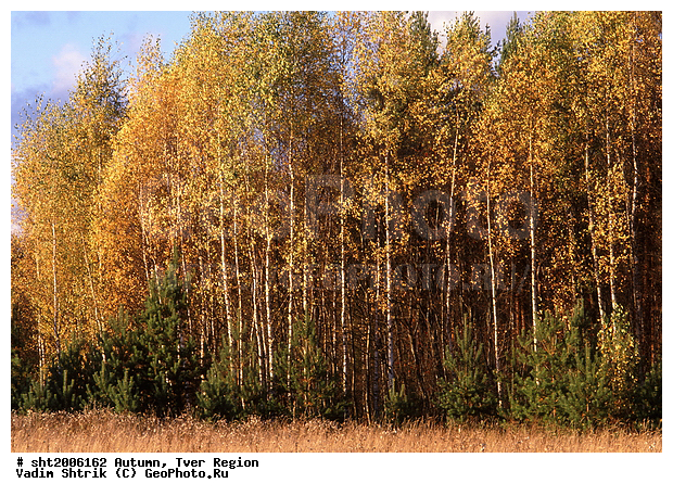 ���, ������, �����