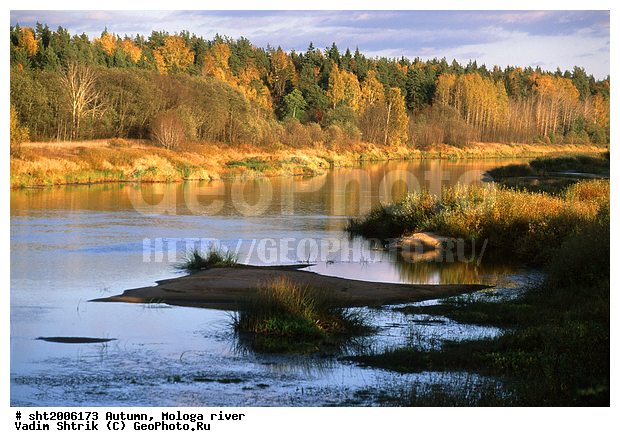 ������, �����, ������, ����