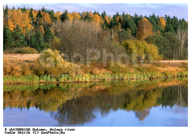 ������, �����, ������, ����