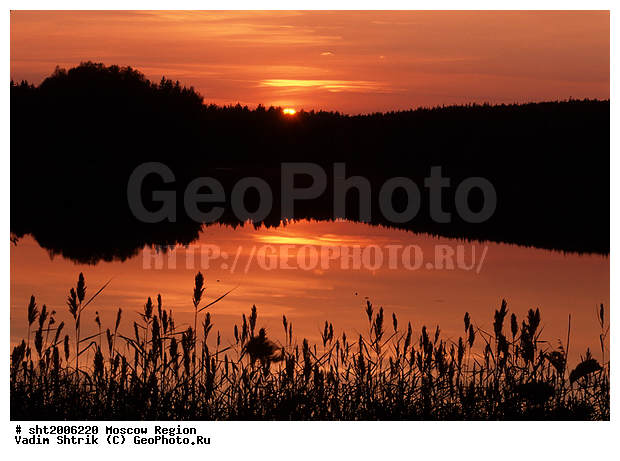 ����� ����, ������, �����, ����