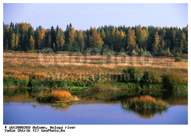 ������, �����, ������, ����