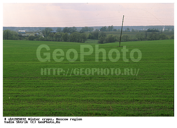 �����������, ��������, ������, ������ ��������, ����