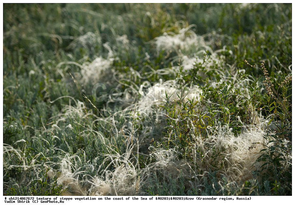 ������� �������, ��������, �������, ������� ��������������, ��������� ��������� ����, ������������� ����, ������, ����, ������, ��������������� �����, ���������, ��� ������ �����