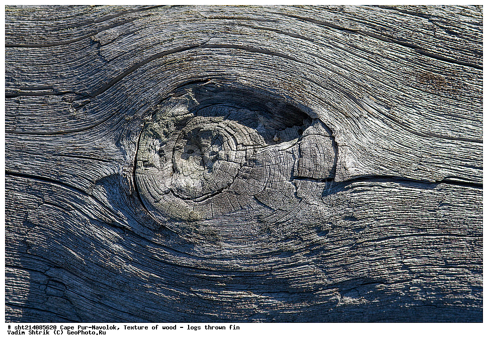 ���, ���-�������, �������, ���������, �������, ����������� ������