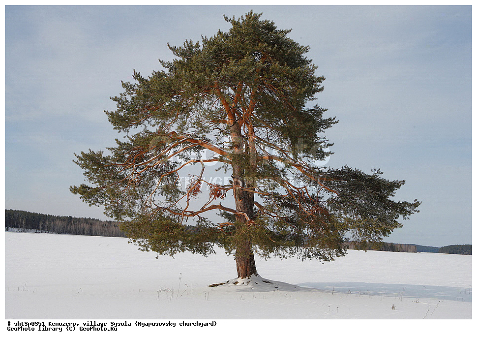 ����, ����, ��������, �������, ������, ����������� ������, ������, �����, ������