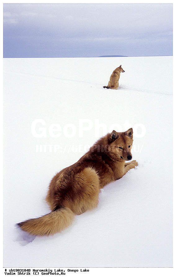 �������, �������, ��������� �����, ����, ������, ��������, �������, ����, ����