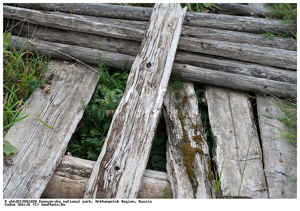 �����, ����������� �������, ������� �������, �������� �������, ������������ ����, �����, �������, ������������� �������, ��������, ���������, ���������, �������������