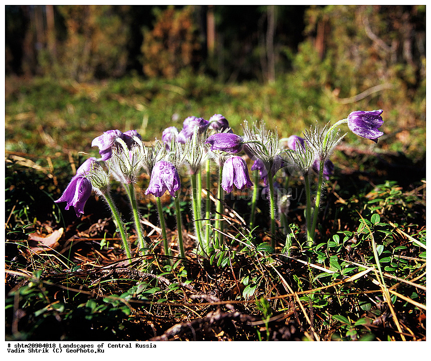 2009, ������, �����, �����, ������, ������, ������� ������, ��������, �������� �������, ������, ������� �����, �������������, ��������, �����, ����, ����, ���, ������, ���������, ������, ����, �����, ����� ����