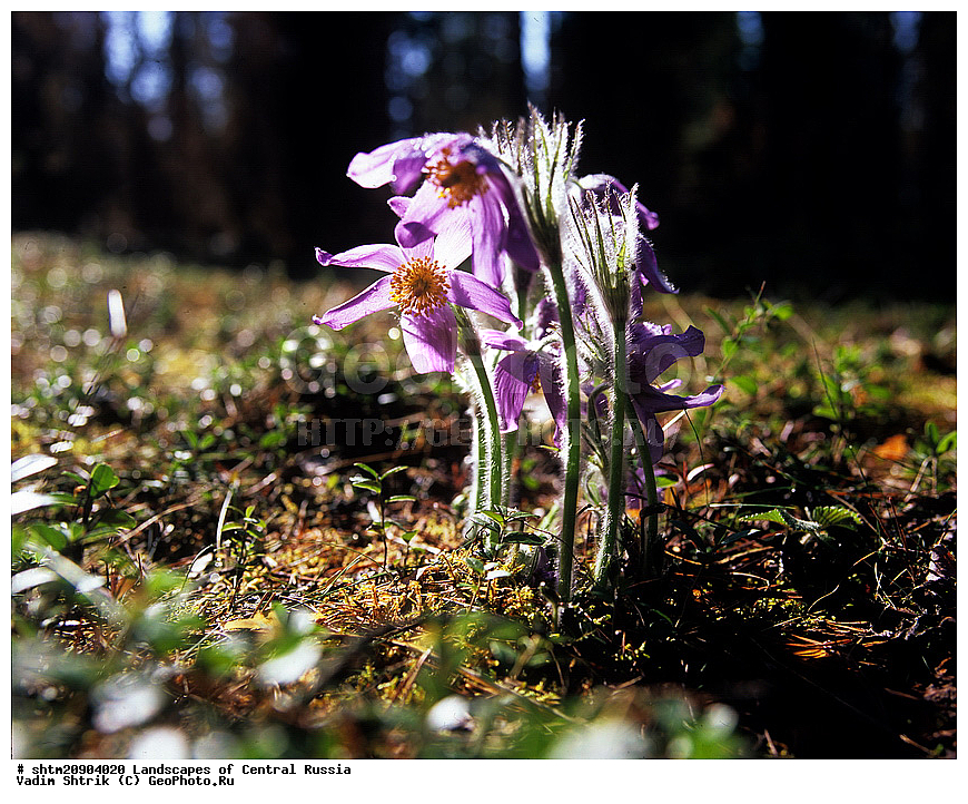 2009, ������, �����, �����, ������, ������, ������� ������, ��������, �������� �������, ������, ������� �����, �������������, ��������, �����, ����, ����, ���, ������, ���������, ������, ����, �����, ����� ����