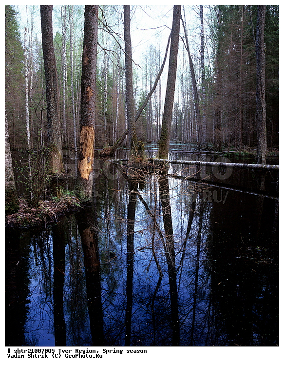 ������, �����, ������, ��������, ����, ��������, �������� �������, �����, �������������, ��������, �����, ����, ����, ����������� ���, ���, ������, �������, ���������, ����� �����������������, �����