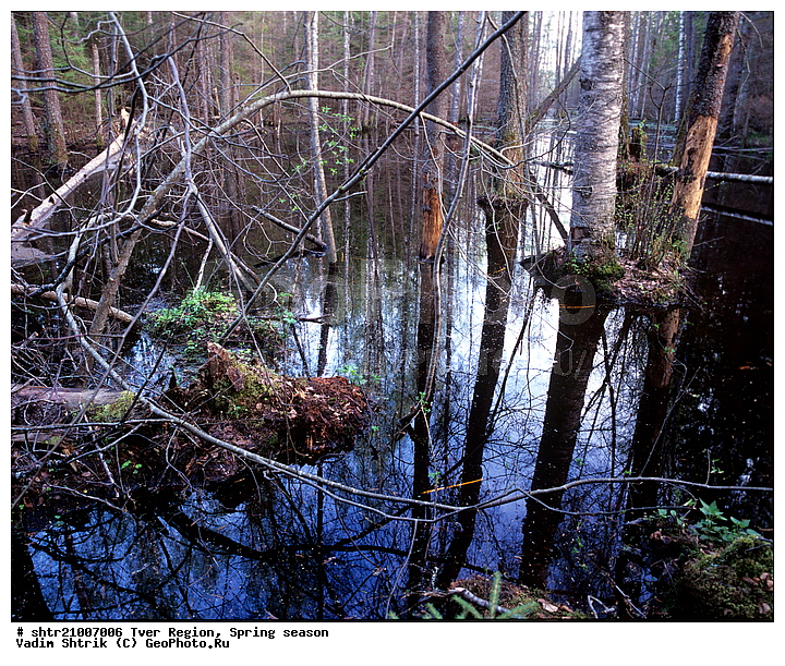 ������, �����, ������, ��������, ����, ��������, �������� �������, �����, �������������, ��������, �����, ����, ����, ����������� ���, ���, ������, �������, ���������, ����� �����������������, �����