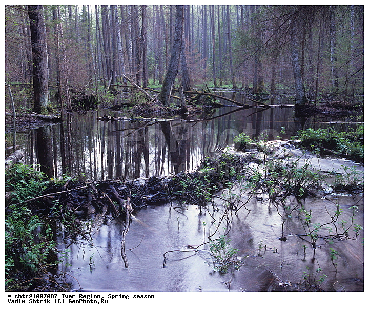 ������, �����, ������, ��������, ����, ��������, �������� �������, �����, �������������, ��������, �����, ����, ����, ����������� ���, ���, ������, �������, ���������, ����� �����������������, �����