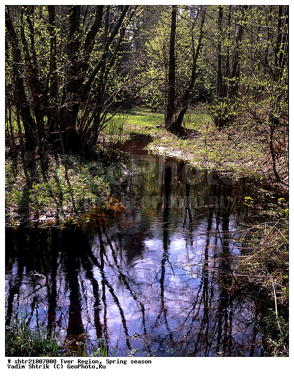 ������, �����, ������, ��������, �������������, ��������, �����, ����, ����, ���, ������, ���������, �����