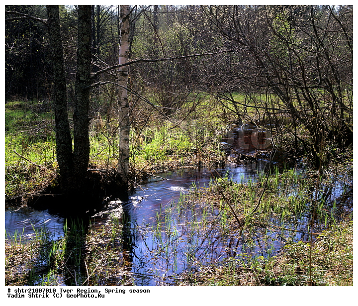 ������, �����, ������, ��������, �������������, ��������, �����, ����, ����, ���, ������, ���������, �����