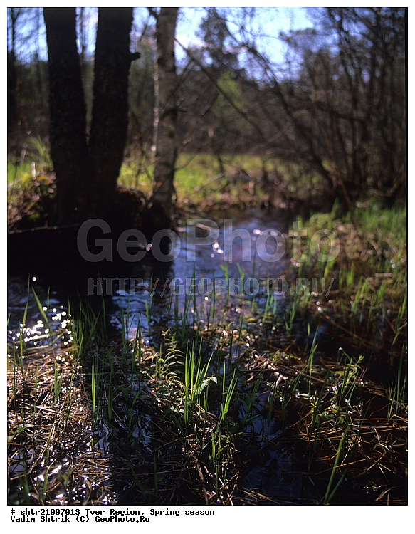 ������, �����, ������, ��������, �������������, ��������, �����, ����, ����, ���, ������, ���������, �����