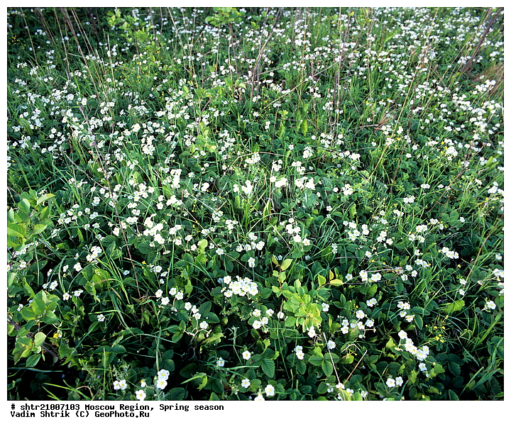 ������, �����, ���������, ��������, �����, ���, �������, ��������, �����