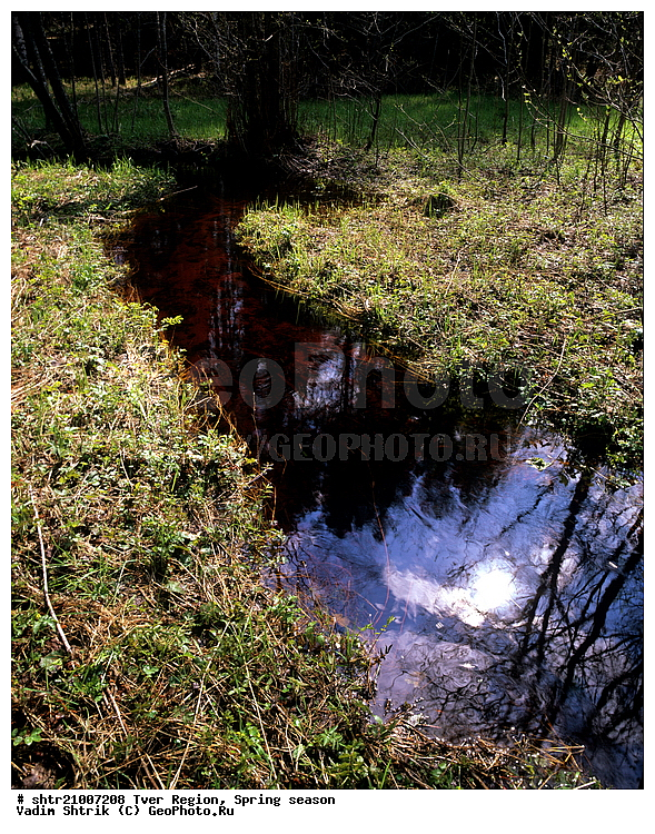 ������, �����, ������, ��������, �������������, ��������, �����, ����, ����, ���, ������, ���������, �����