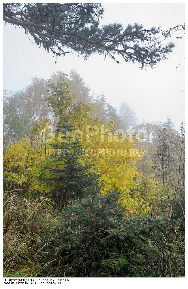 ������������� ����, ���������� ������, ���������-���������� ����������, ������, ���, ������, �������� ������, ���������� ��������������� ����������, �����, ���������� ��������������� ��������� ���������� ���������� ����� �. �. �����������, ������� �����, ����, �������� ���