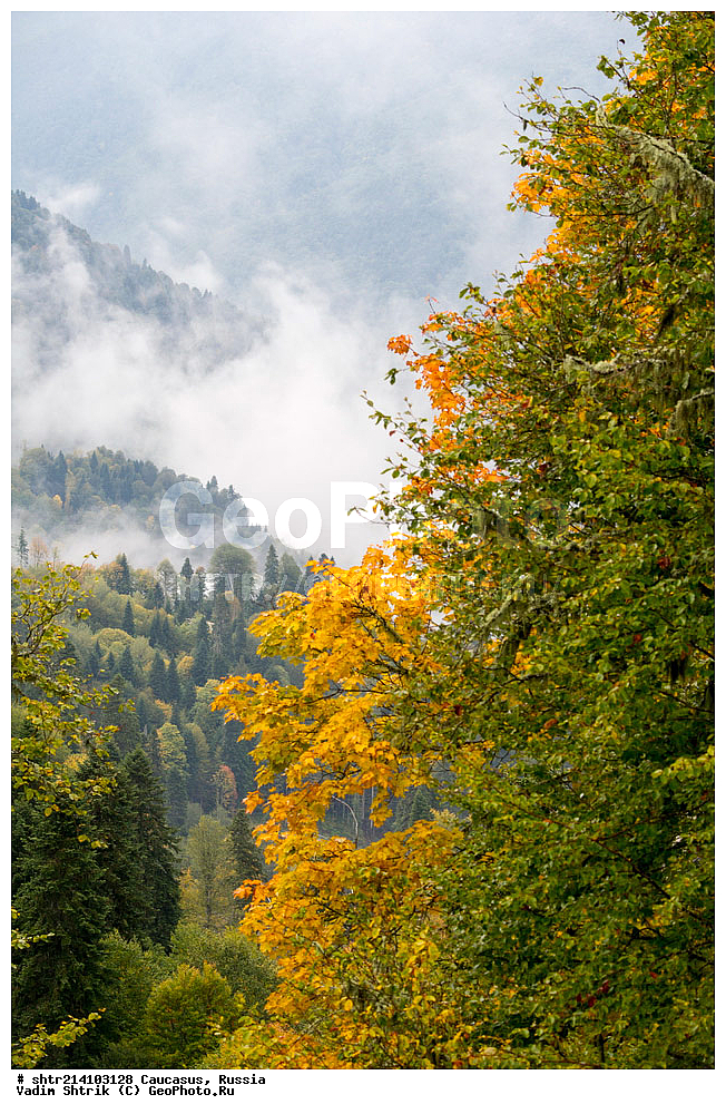 ������������� ����, ���������� ������, ���������-���������� ����������, ������, ���, ������, �������� ������, ���������� ��������������� ����������, �����, ���������� ��������������� ��������� ���������� ���������� ����� �. �. �����������, ������� ������, ������� ���, ����, �����