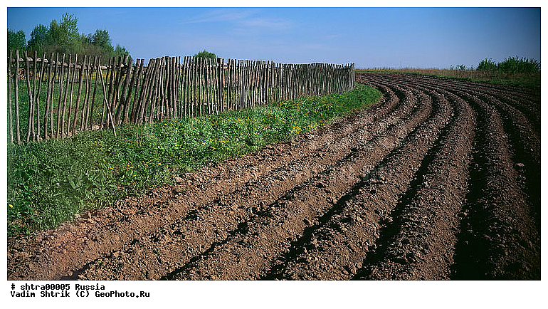 large format, ������, �����, ���������, ���������� ������, �����, �������� ���������, ������� ������, ������� �����, ������� ������