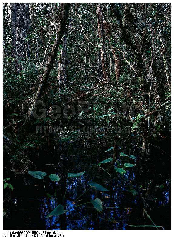 large format, ��������, �������, ����������, ����, ���, �������, ����������� ���, ������� ������, ������� ������